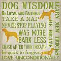 Dog Wisdom